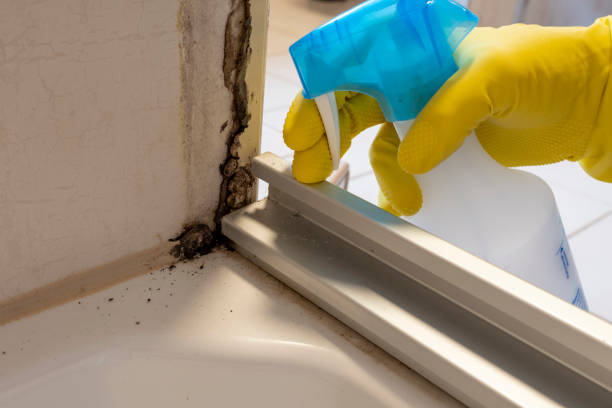 Best Crawl Space Mold Removal  in Nephi, UT